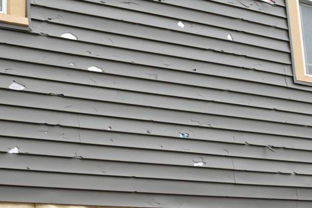 Best Composite Siding  in Clendon, AR