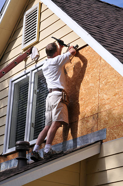 Best Siding Painting and Refinishing  in Clendon, AR